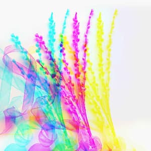 Music for Private Acoustics - Wicked Alto Sax - Classy Bossa Piano Jazz Playlist