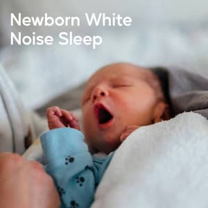 Newborn White Noise Sleep - White Noise Sound Garden