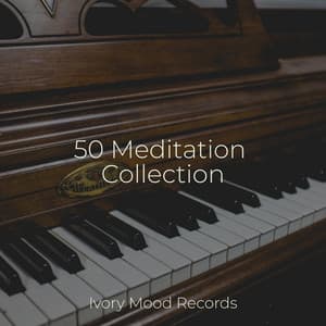 50 Meditation Collection - Ivory Mood