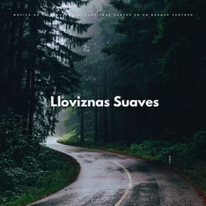 Música De La Naturaleza: Lloviznas Suaves En Un Bosque Ventoso - Lluvia Calmante