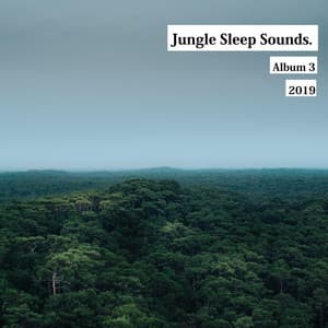 Rain and Jungle Sound for Sleep - Jungle Sleep Sounds
