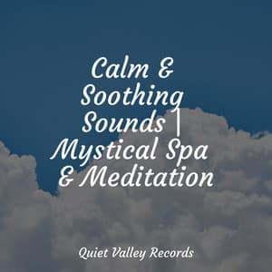 Calm & Soothing Sounds | Mystical Spa & Meditation - Pink Noise