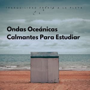 Tranquilidad Frente A La Playa: Melodías De Ondas Oceánicas Calmantes Para Estudiar - Terapia Oceánica