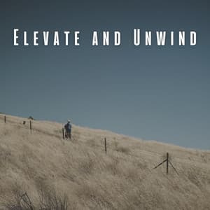 Elevate and Unwind: Ambient Music for Ultimate Relaxation - Elevator Music