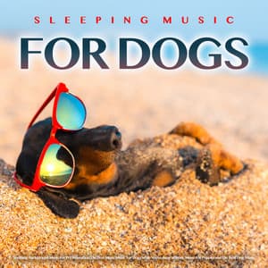 Sleeping Music For Dogs: Soothing Background Music For Pet Relaxation, The Best Music Music For Dogs While You're Away at Work, Music For Puppies and The Best Dog Music - Dog Music