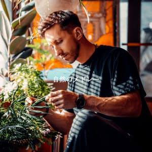 自然のメドレー - Easy Listening Instrumental Music