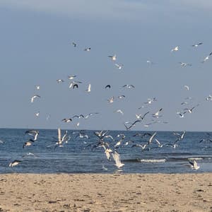 Songs for Mila - Cozy Coffee Shop