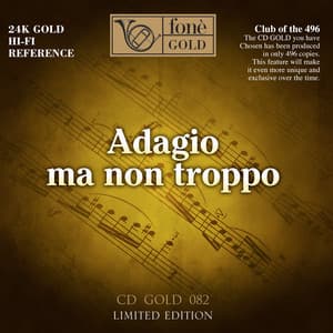 Adagio ma non troppo - Salvatore Accardo