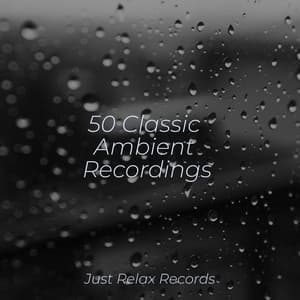 50 Classic Ambient Recordings - Lullaby Land