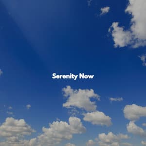 Serenity Now - Working from Home Playlist