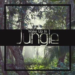 Wake Up In Jungle: Exotic Sounds for Relaxation - Nature Sounds Universe