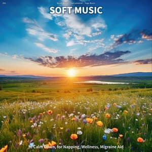 #01 Soft Music to Calm Down, for Napping, Wellness, Migraine Aid - Quiet Music