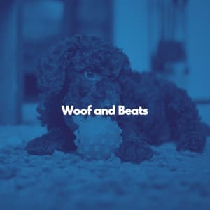 Woof and Beats - Musica de Bar