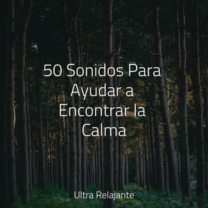50 Sonidos Para Ayudar a Encontrar la Calma - Sonido Del Bosque y Naturaleza