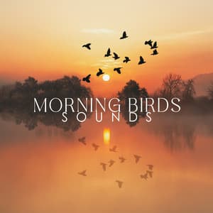 Morning Birds Sounds: Music to Combat Stress and Anxiety - Stress Relief Calm Oasis