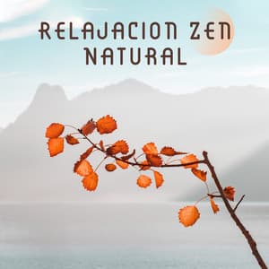 Relajacion Zen Natural - Relajese con la Musica Ambient y los Sonidos de la Naturaleza Creados para la Meditacion, la Relajacion, el Spa y el Bienestar - Calm Music Zone