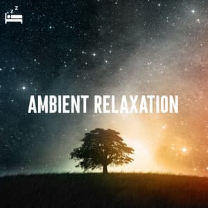 Ambient Relaxation - Ambient Space