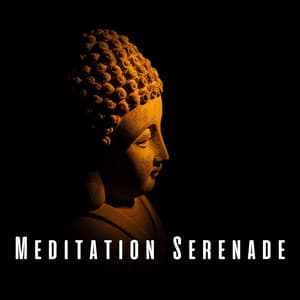 Meditation Serenade: Serenade the Soul with Chill Music - A Sound Healer