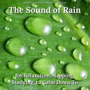 The Sound of Rain for Relaxation, Napping, Studying, to Calm Down To - Rain Sounds to Fall Asleep To