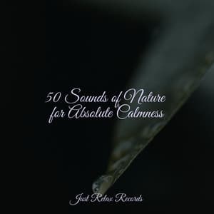 50 Sounds of Nature for Absolute Calmness - Calm Music for Studying