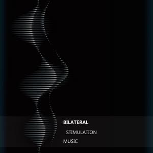 Bilateral Stimulation Music - Anghashi