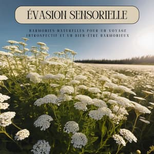 Évasion Sensorielle: Harmonies Naturelles pour un Voyage Introspectif et un Bien-Être Harmonieux - Musique Ambiance Détente