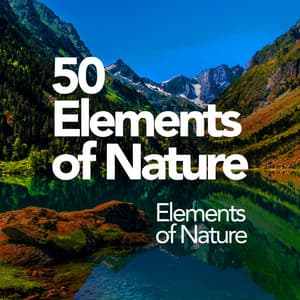 50 Elements of Nature - Elements of Nature