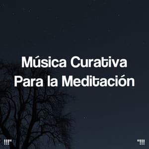 Música Curativa Para la Meditación - Musica Relajante