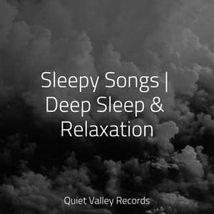 Sleepy Songs | Deep Sleep & Relaxation - Deep Relaxation Meditation Academy