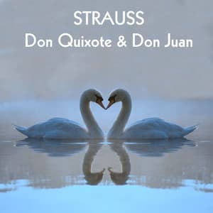 Strauss Don Quixote & Don Juan - Richard Strauss