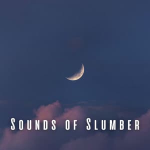 Sounds of Slumber: Music for Tranquil Sleep - Simply Hypnotic