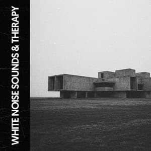 White Noise Sounds & Therapy: Harmonies for Peaceful Minds - The White Noise Travelers