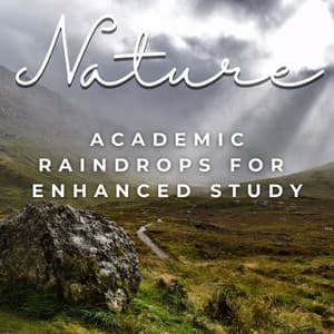 Academic Raindrops: Serene Rain Sounds for Enhanced Study - Rain Sounds for Relaxation