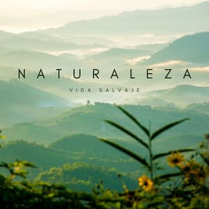 Naturaleza: Vida Salvaje - Chill Relajente