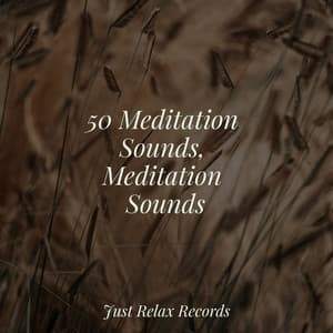 50 Meditation Sounds, Meditation Sounds - Happy Baby Lullaby Collection