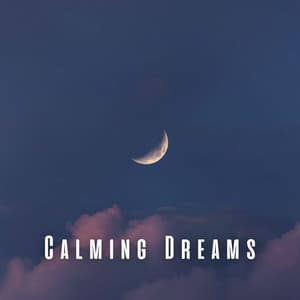 Calming Dreams: Chill Music for a Good Sleep - My Wondrous Dream