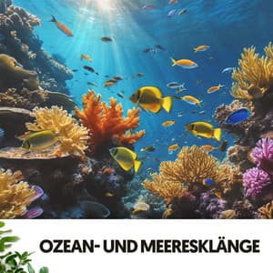 Ozean- und Meeresklänge: Symphonie der Wellen - Dog Relaxation