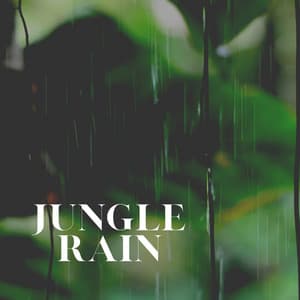 Jungle Rain - Rainy Dreaming
