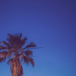 1 Coastal Night: Waves Beside The Horizons - Coastal Sounds