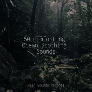 50 Comforting Ocean Soothing Sounds - Rain Sound Studio