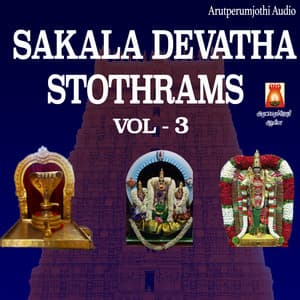 Sakala Devatha Stothrams, Vol. 3 - D.V. Ramani
