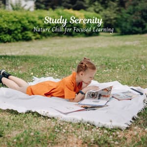 Study Serenity: Nature Chill for Focused Learning - Stereo Outdoor Sampling