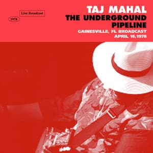 The Underground Pipeline - Taj Mahal