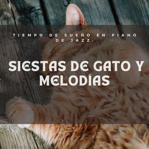 Tiempo De Sueño En Piano De Jazz: Siestas De Gato Y Melodías - Maestras de piano relajantes