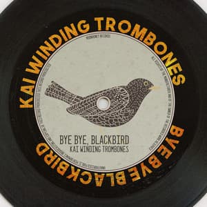 Bye Bye, Blackbird - Kai Winding