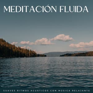 Meditación Fluida: Suaves Ritmos Acuáticos Con Música Relajante - Sonidos de agua dulce para la paz interior