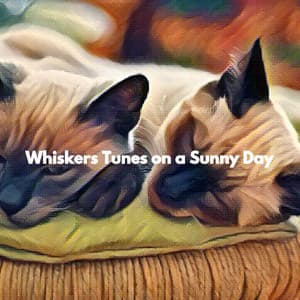 Whiskers Tunes on a Sunny Day - Soulful Jazz & Coffee
