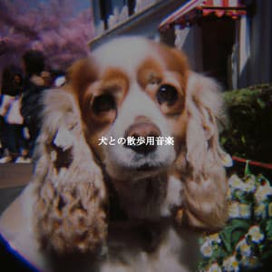 犬との散歩用音楽 - Coffeehouse Jazz