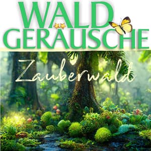 Zauberwald - Waldgeräusche