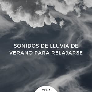 Sonidos De Lluvia De Verano Para Relajarse Vol. 1 - Grabadora Lluvia